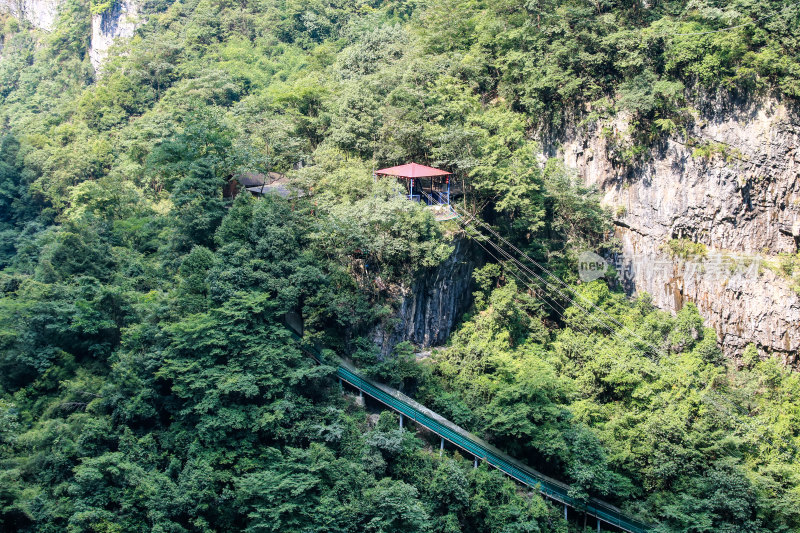 湖北宜昌三峡竹海风景区，自然风光，竹海