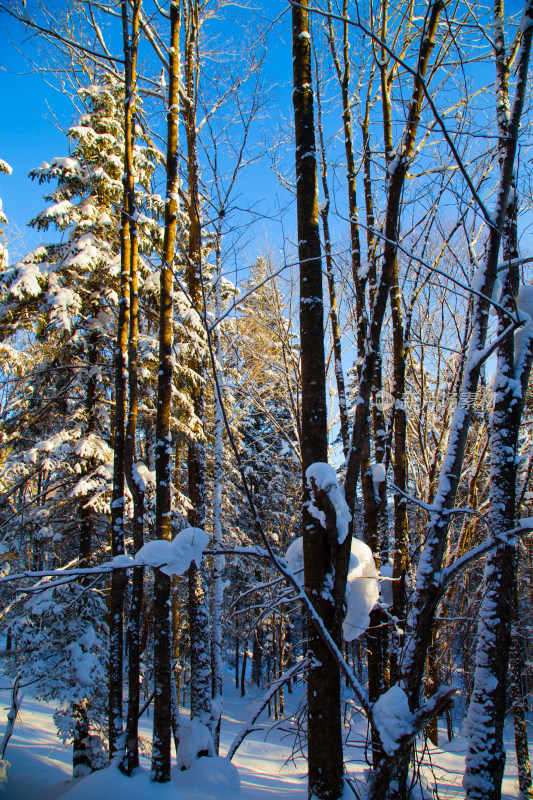 黑龙江 双峰林场 雪乡