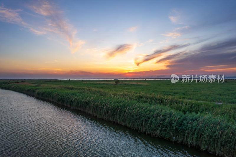 天津团泊湖稻田日落自然风光