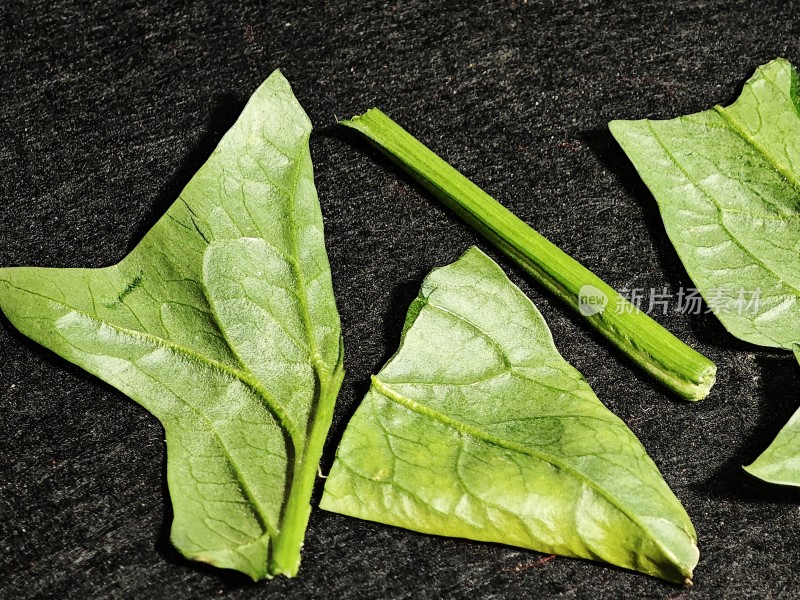 新鲜菠菜叶与茎特写