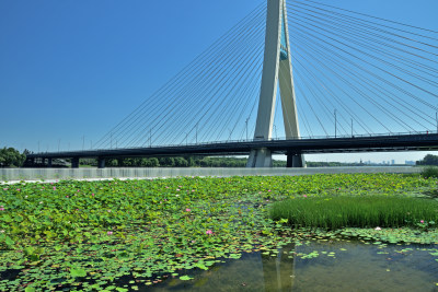 河北省石家庄市太平河