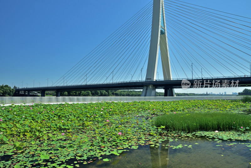 河北省石家庄市太平河