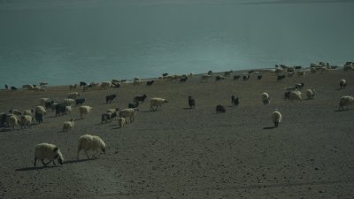 西藏当惹雍措