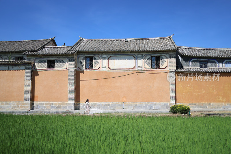 中国大理喜洲古镇建筑和绿色稻田