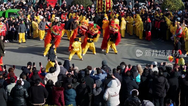 节日舞狮庆祝狮舞