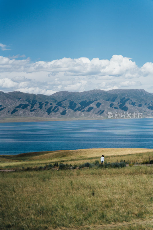 赛里木湖湖边茂盛森林草地的自然景观