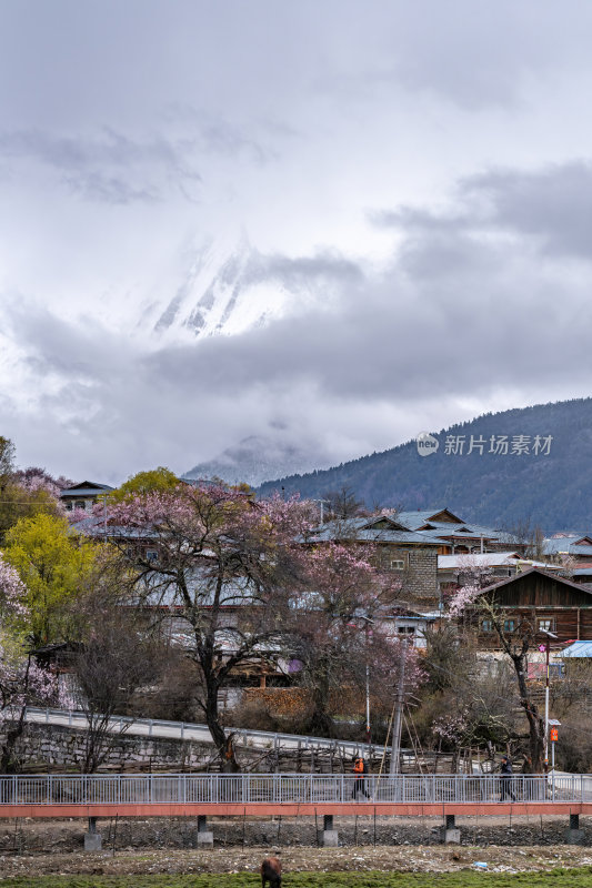 西藏林芝地区藏王故里桃花沟云雾高原村庄