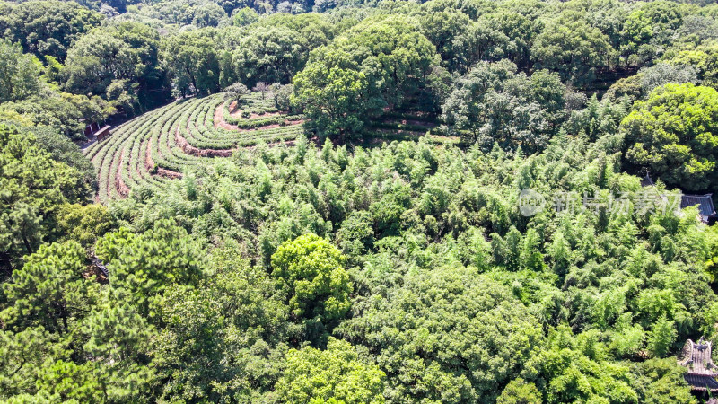 洞庭湖君山岛