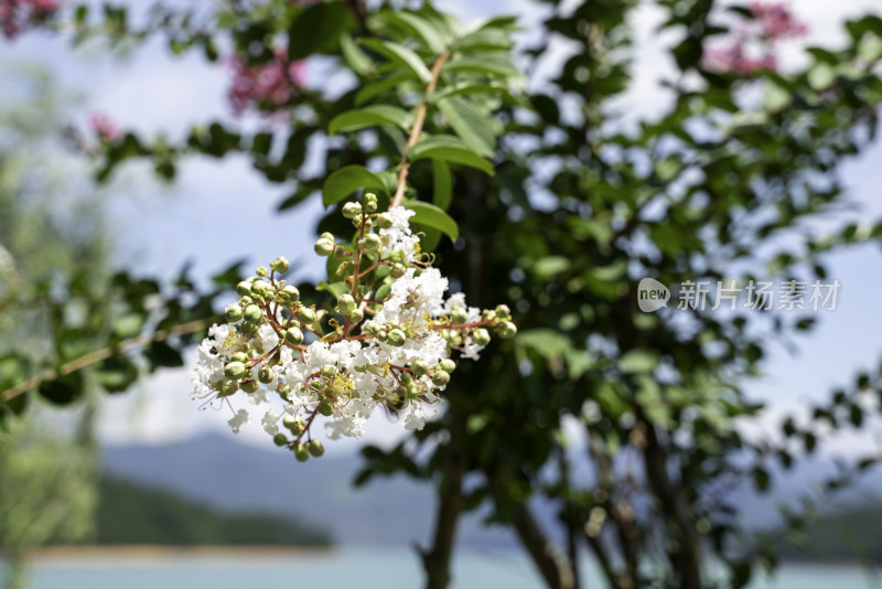 东江湖白廊景区