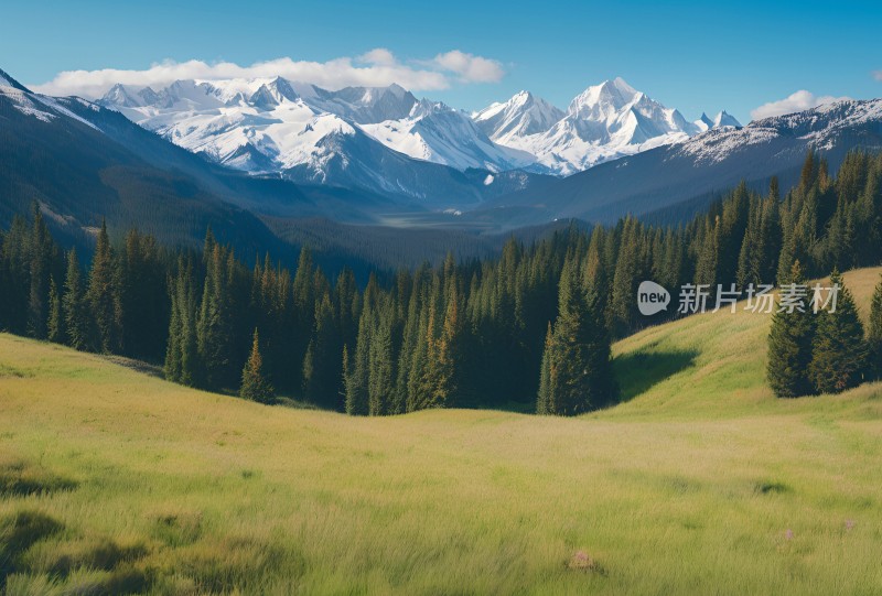 雪山高原草原森林风景