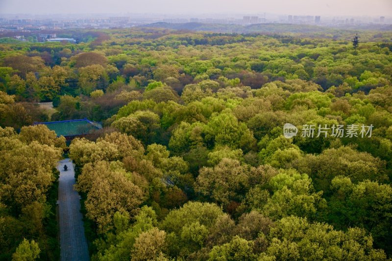 南京钟山灵谷景区