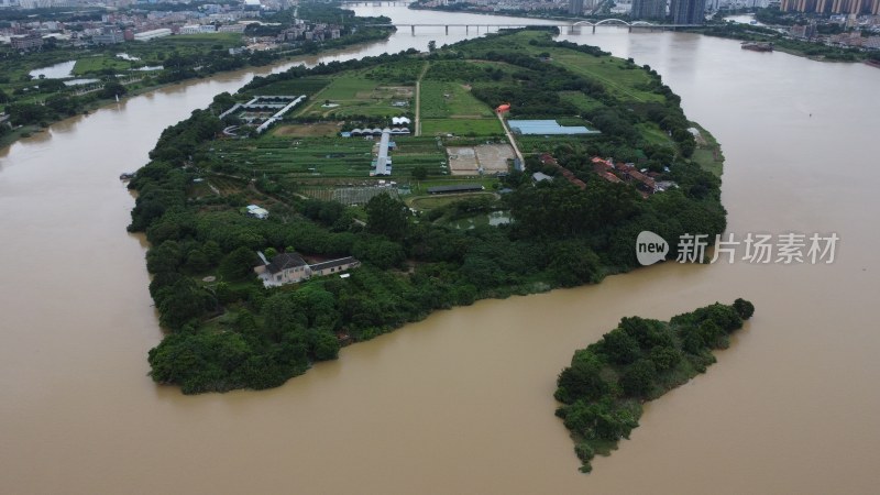 航拍广东省东莞市石排镇鲤鱼洲