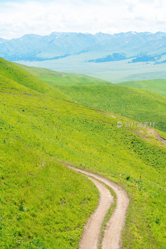 中国新疆伊犁那拉提草原自然风景