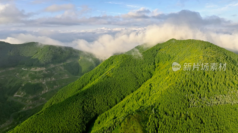 宁夏六盘山云海