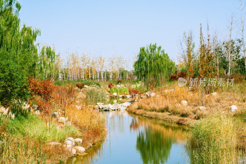 溪边秋景 植被多彩倒映水面风景如画