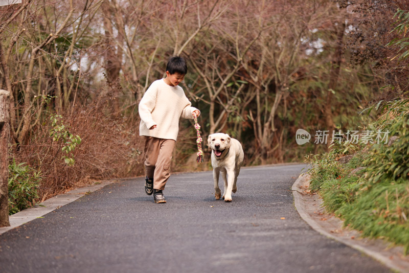 一个中国小男孩和他的宠物拉布拉多犬