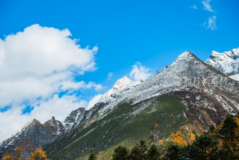 晴朗午后，四川毕棚沟景区秋景