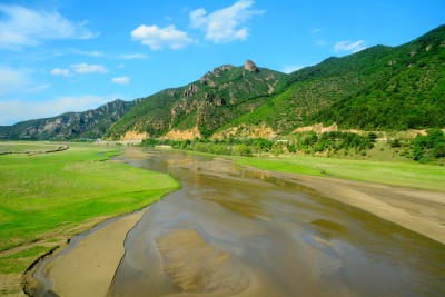 水稻 水稻田