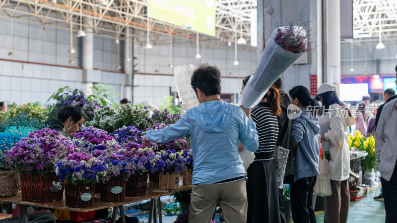 云南昆明斗南花市吸引大量游客前来买花