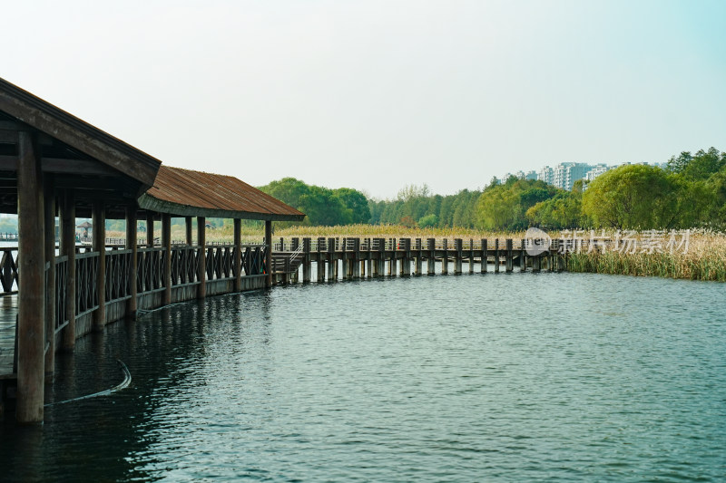 太湖湖滨国家湿地科普长廊