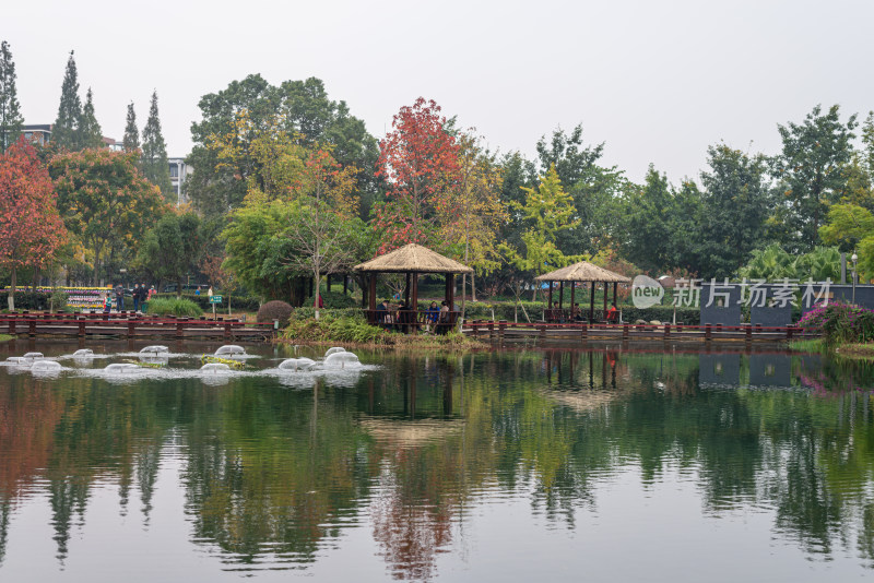 公园湖边风景