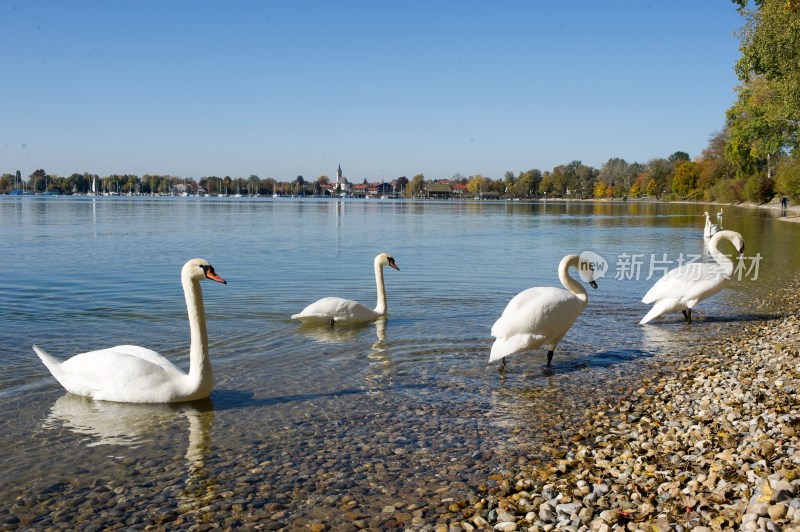 德国慕尼黑周边基姆湖(Chiemsee)