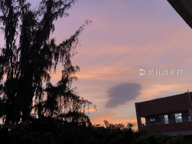 粉红夕阳