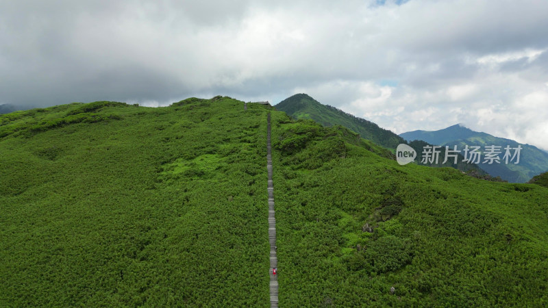 航拍湖北神农架景区神农谷登山台阶