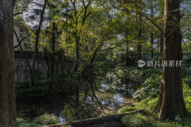 杭州西子湖畔杭州花圃风景