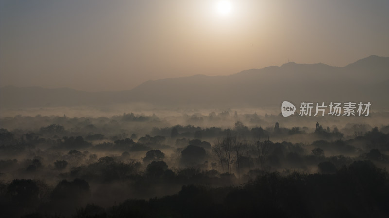杭州西溪湿地 云雾缭绕 唯美仙境