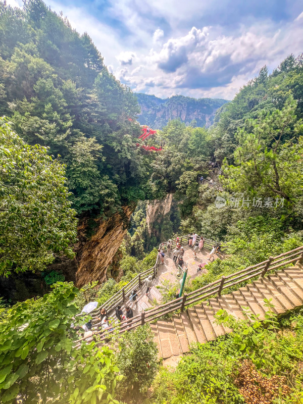 中国湖南张家界景区奇特山峰与茂密森林