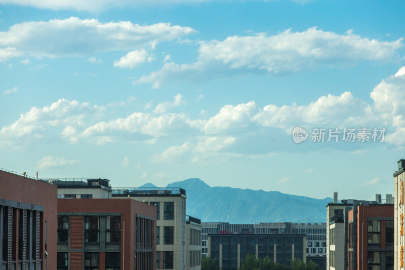 雨中的城市风光