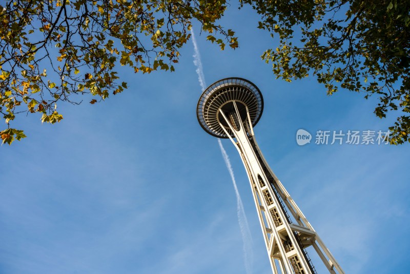 西雅图太空针塔