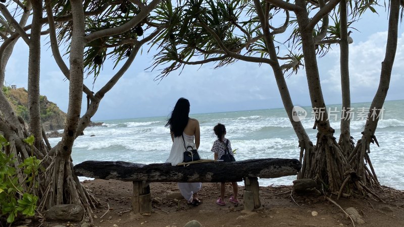 母女海边树下长椅观海背影