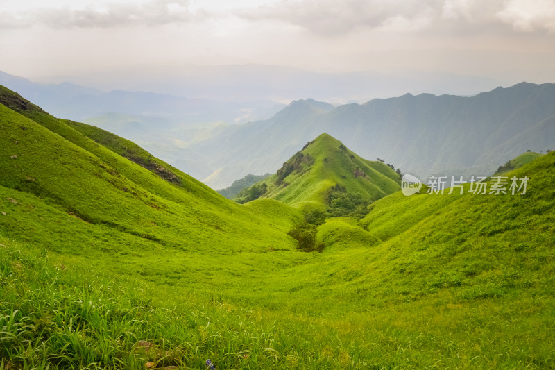 江西武功山高山草甸