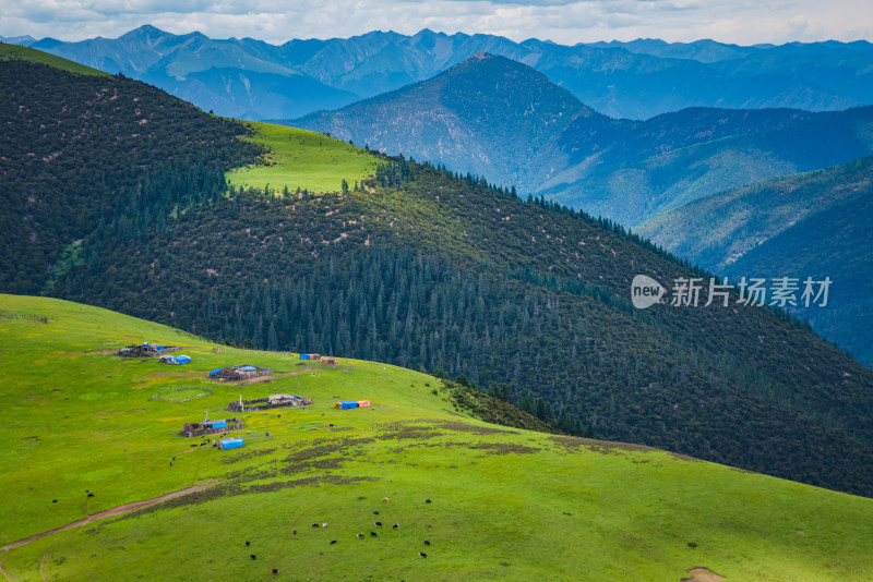 青翠山峦下的广阔草原