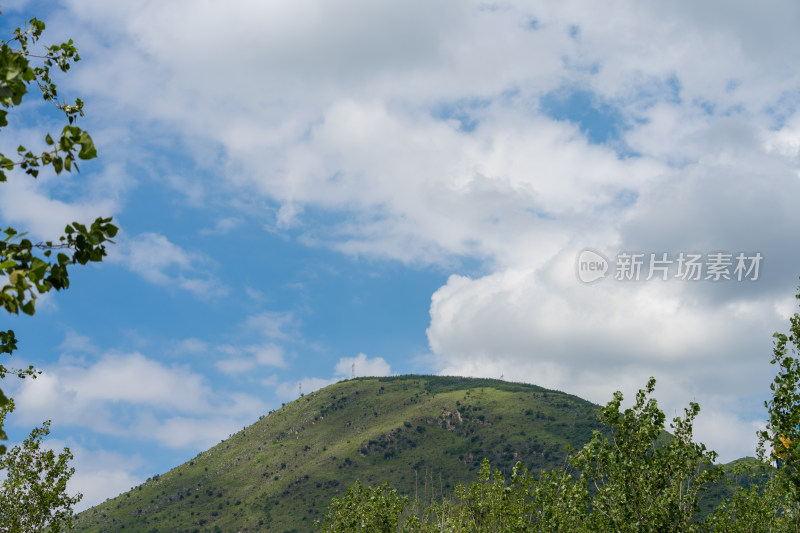 蓝天白云下的葱郁山坡自然风景