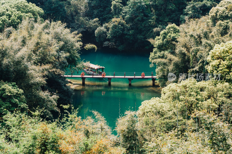 肇庆鼎湖山