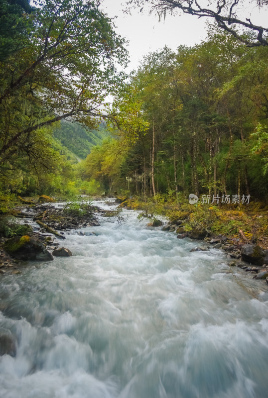 山林河谷湍急的河流