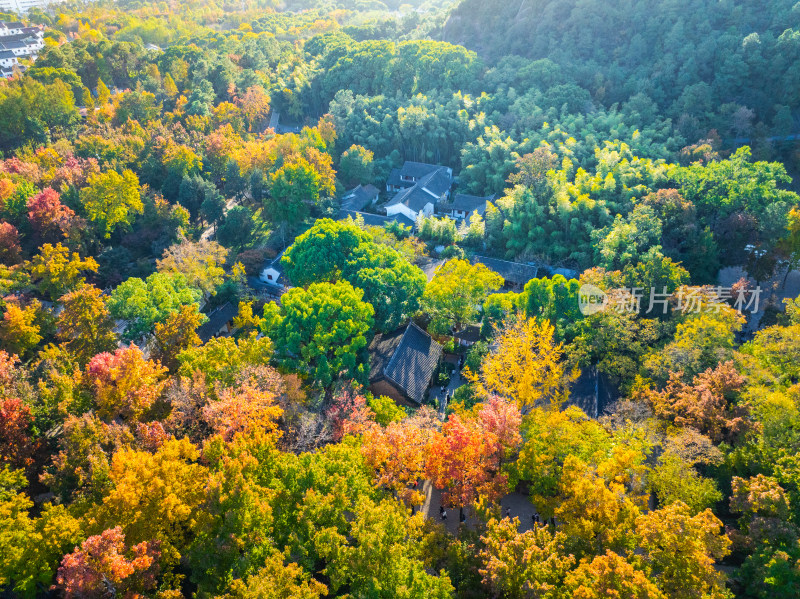 航拍苏州天平山风景区赏秋红枫叶