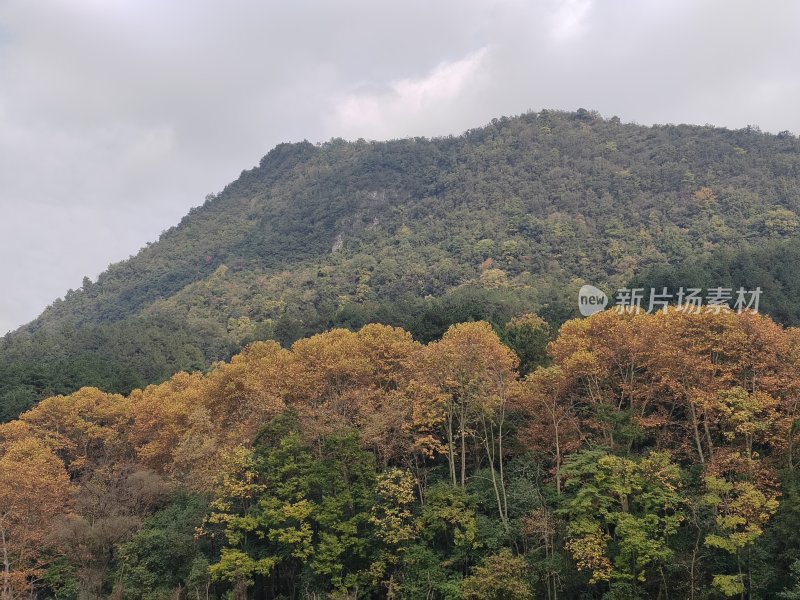 油画般的山景