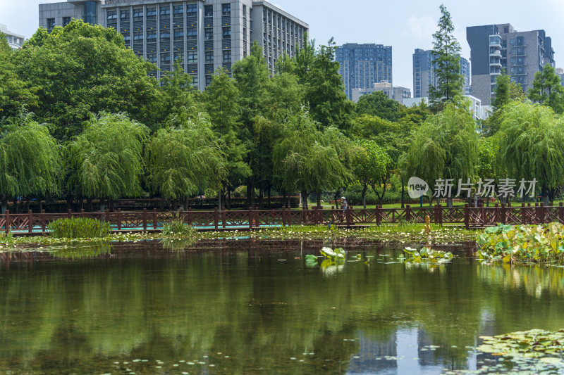 武汉关山荷兰风情园风景