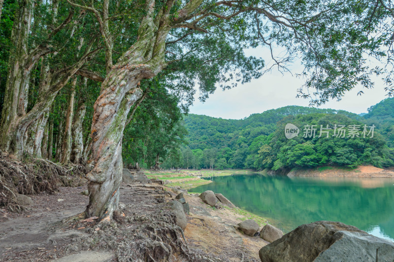 香港城门水塘郊野公园湖泊山景自然风光