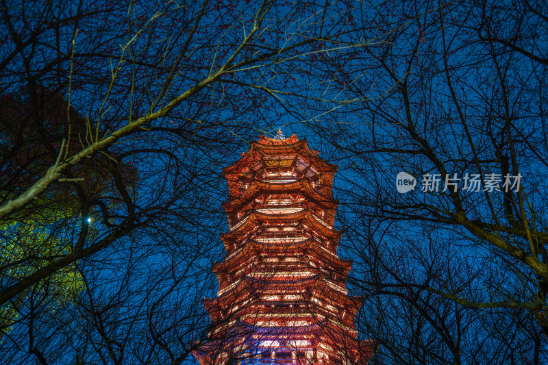 长沙洋湖湿地公园白鹭塔梅林夜景