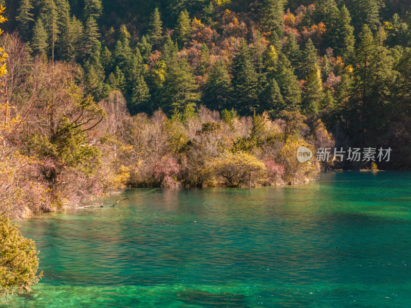 九寨沟秋景