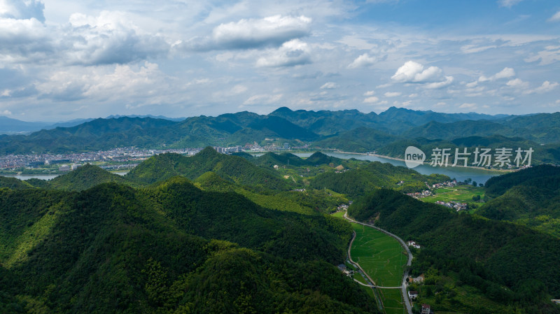 航拍浙江杭州桐庐竹海