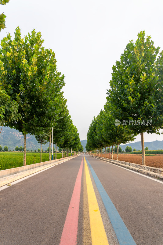 农村道路交通