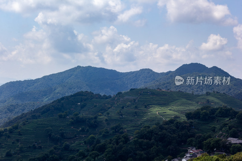 杭州南高峰俯瞰青山茶园自然风光