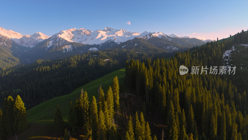 航拍草原雪山森林自然风光