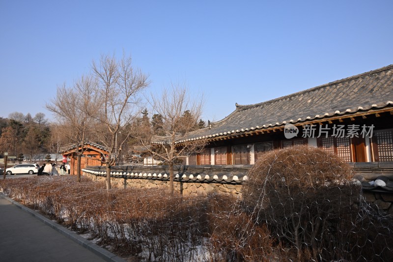 传统风格建筑外景，周边树木萧瑟